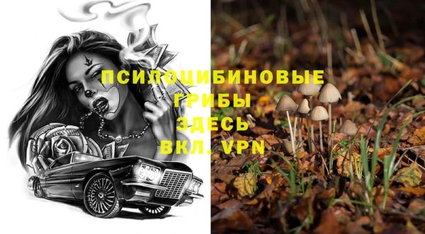 стафф Мегион