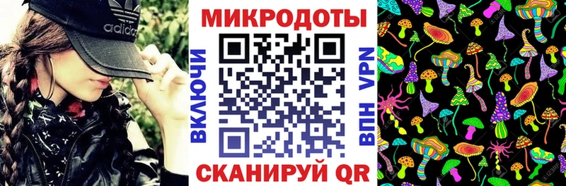 Псилоцибиновые грибы Psilocybe  купить наркотик  Советская Гавань 