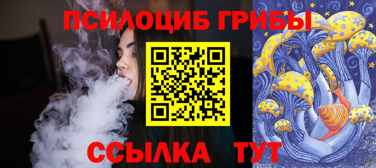 Советская Гавань  Псилоцибиновые грибы Magic Shrooms  Вход с VPN 
