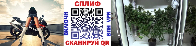 Марихуана ГИДРОПОН Советская Гавань